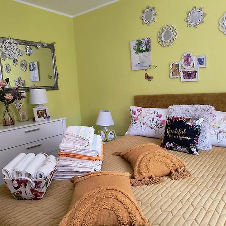 Sweet Butterflies Residence 브라쇼브 외부 사진