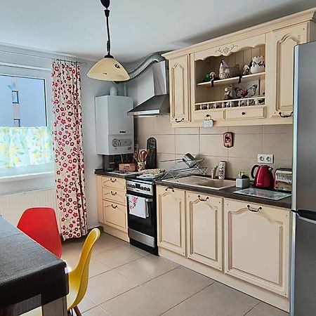 Sweet Butterflies Residence 브라쇼브 외부 사진