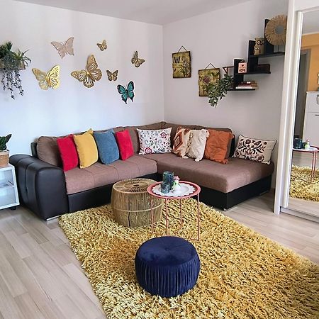 Sweet Butterflies Residence 브라쇼브 외부 사진