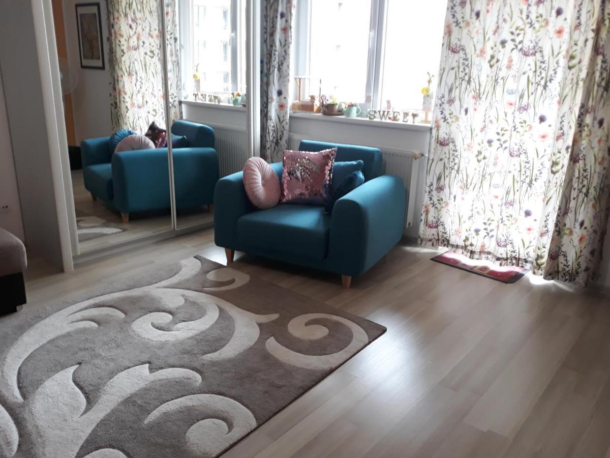 Sweet Butterflies Residence 브라쇼브 외부 사진