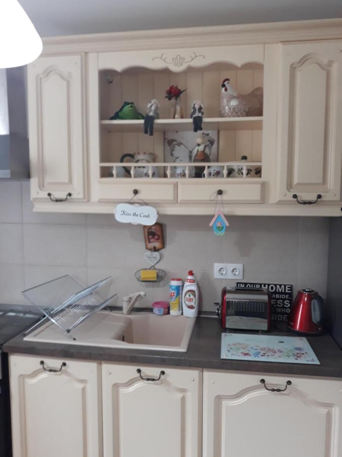 Sweet Butterflies Residence 브라쇼브 외부 사진