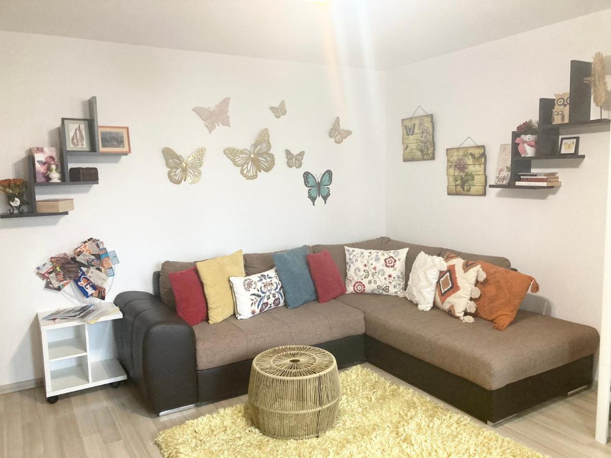 Sweet Butterflies Residence 브라쇼브 외부 사진