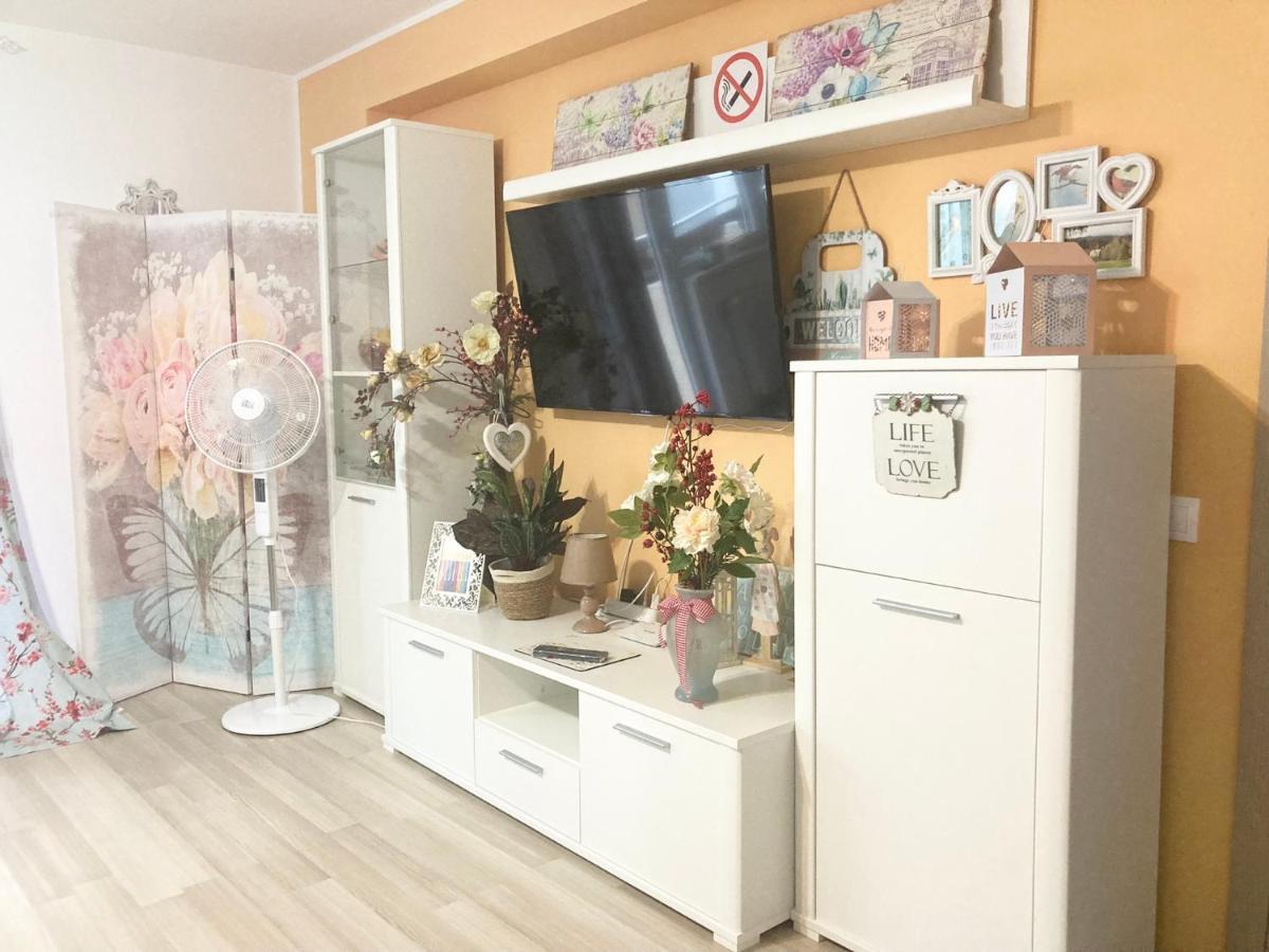 Sweet Butterflies Residence 브라쇼브 외부 사진
