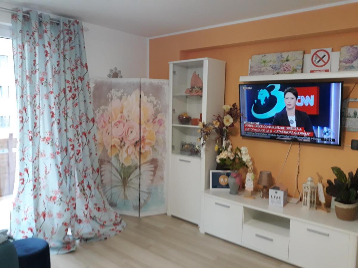 Sweet Butterflies Residence 브라쇼브 외부 사진