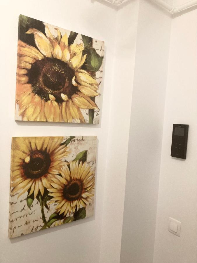 Sweet Butterflies Residence 브라쇼브 외부 사진
