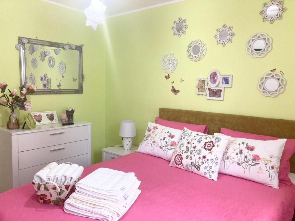 Sweet Butterflies Residence 브라쇼브 외부 사진