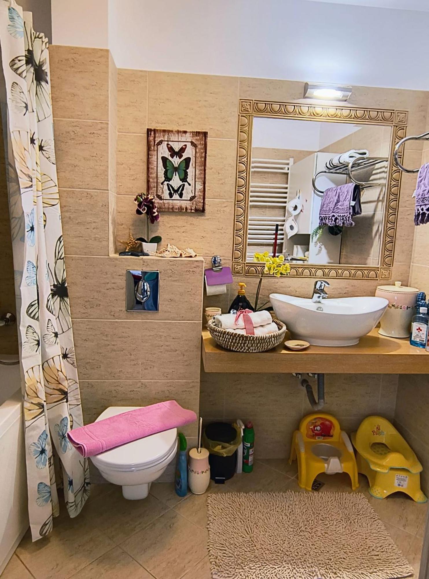 Sweet Butterflies Residence 브라쇼브 외부 사진