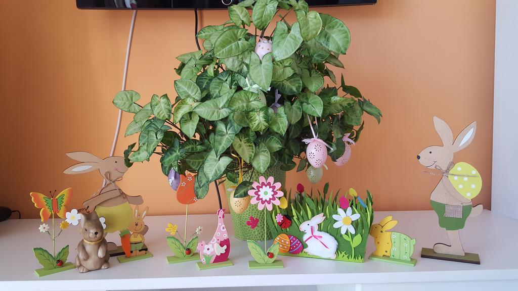 Sweet Butterflies Residence 브라쇼브 외부 사진