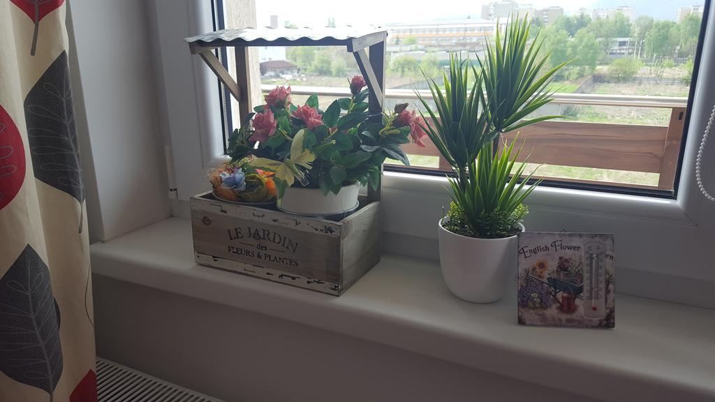 Sweet Butterflies Residence 브라쇼브 외부 사진
