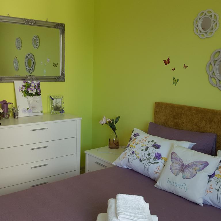 Sweet Butterflies Residence 브라쇼브 외부 사진