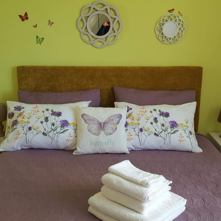 Sweet Butterflies Residence 브라쇼브 외부 사진