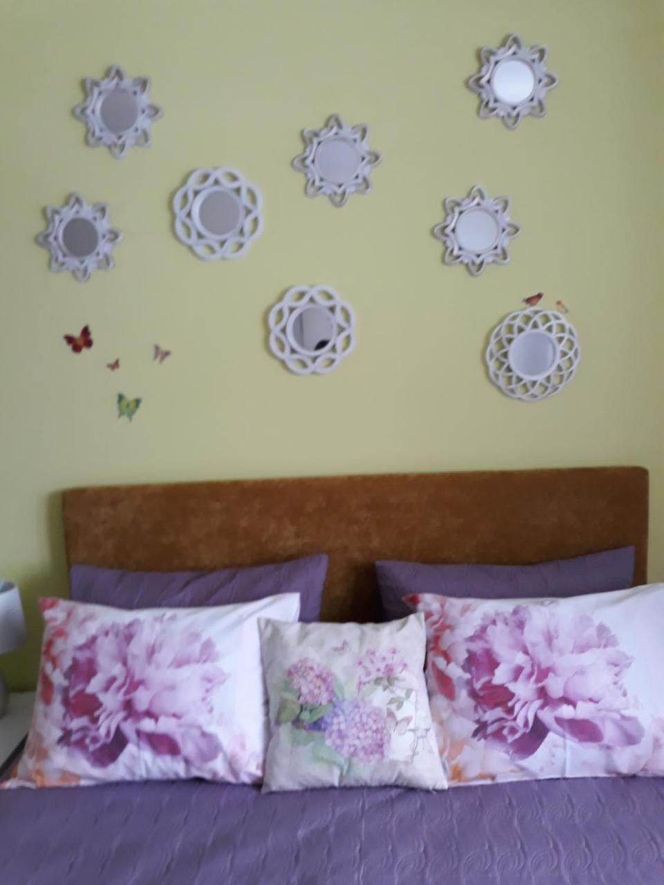 Sweet Butterflies Residence 브라쇼브 외부 사진