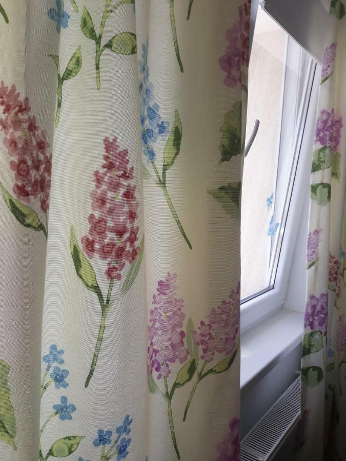 Sweet Butterflies Residence 브라쇼브 외부 사진