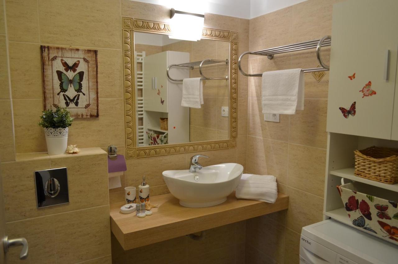 Sweet Butterflies Residence 브라쇼브 외부 사진